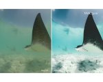 maldives-preset-pack.jpg