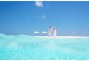 image-preview (10).jpg
